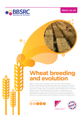 Wheat Breeding and Evolution Wheat Is a Staple Crop for a Significant Proportion of the World’S Population