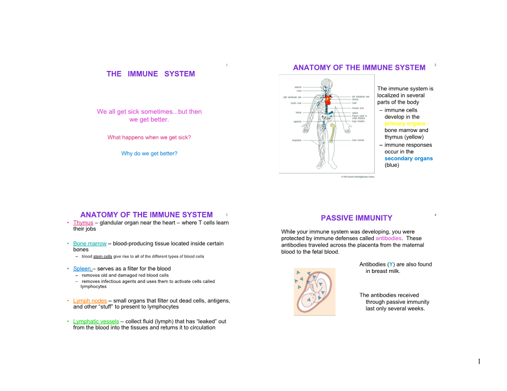 The Immune System Anatomy of the Immune System Anatomy of the Immune System Passive Immunity