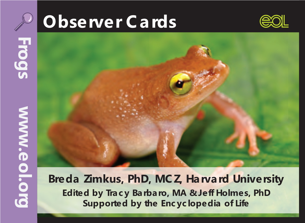 Frog Observer Cards Ebook