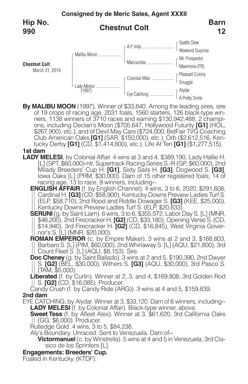 Chestnut Colt Barn 12 Hip No