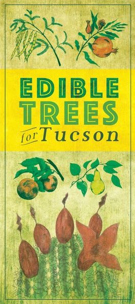 Edible-Trees-For-Tucson.Pdf