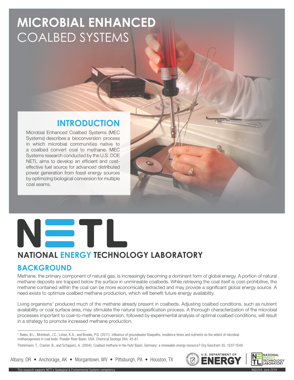 Microbial Enhanced Coalbed Systems