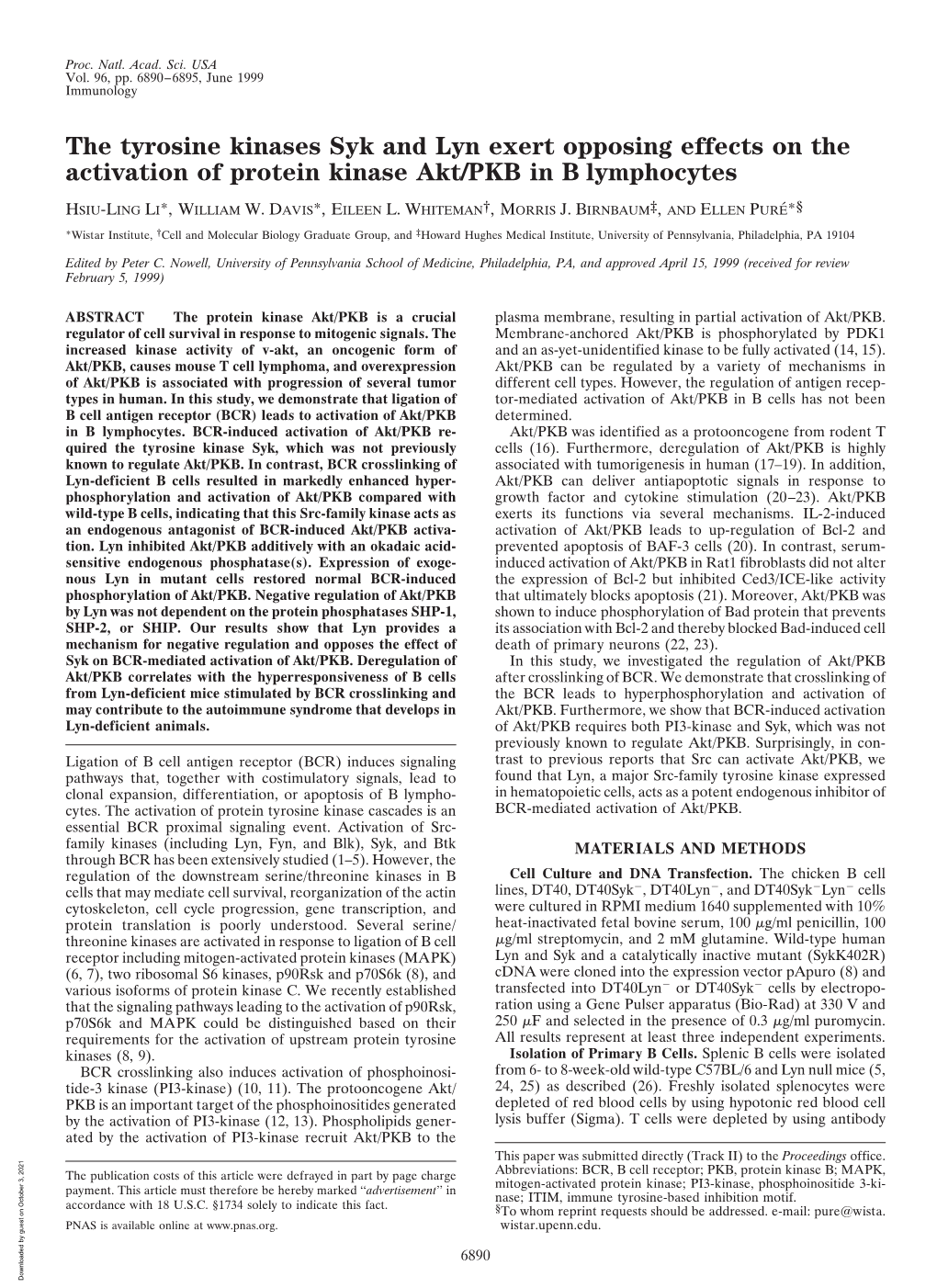 The Tyrosine Kinases Syk and Lyn Exert Opposing Effects on the Activation of Protein Kinase Akt/PKB in B Lymphocytes