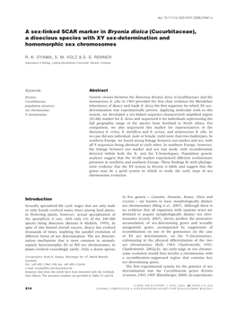 A Sex-Linked SCAR Marker in Bryonia Dioica (Cucurbitaceae), a Dioecious Species with XY Sex-Determination and Homomorphic Sex Chromosomes