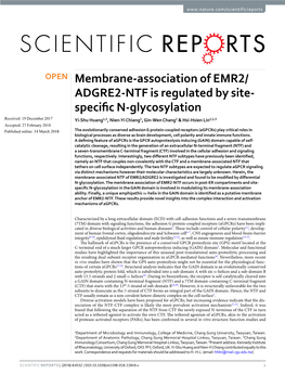 ADGRE2-NTF Is Regulated by Site- Specific N-Glycosylation