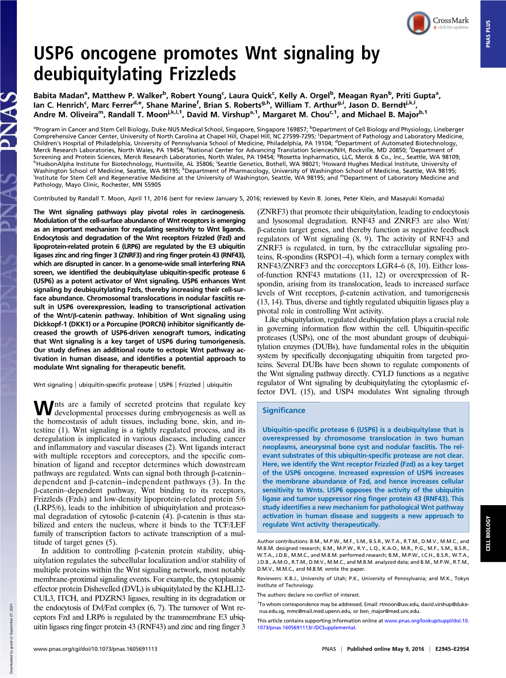 USP6 Oncogene Promotes Wnt Signaling by Deubiquitylating Frizzleds