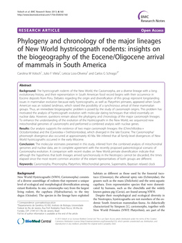 Phylogeny and Chronology of the Major Lineages of New World