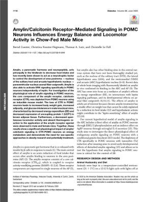 Amylin/Calcitonin Receptor–Mediated Signaling in POMC Neurons Inﬂuences Energy Balance and Locomotor Activity in Chow-Fed Male Mice