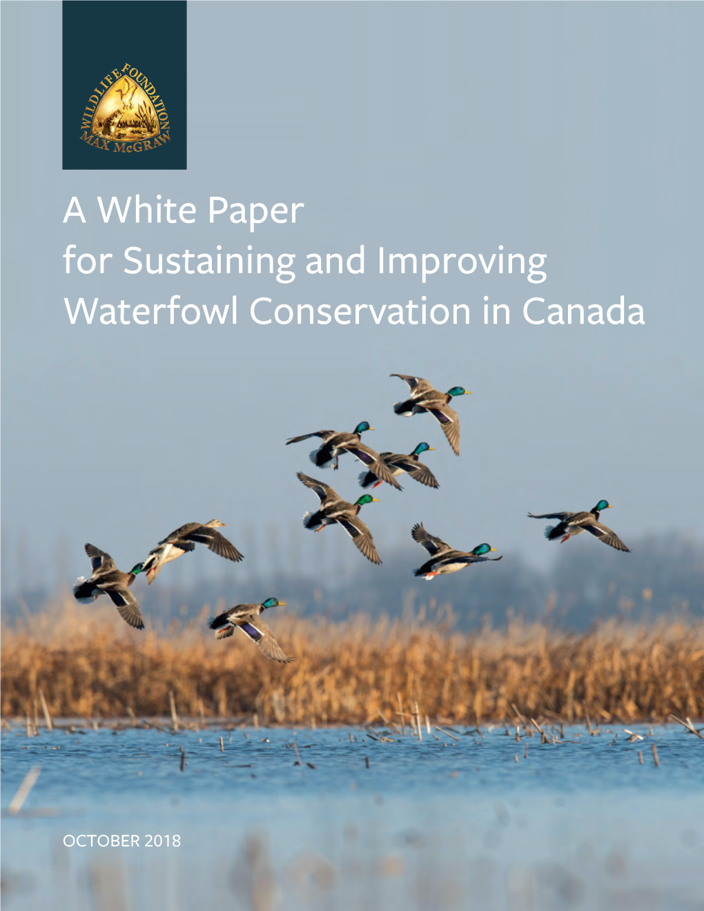 A White Paper for Sustaining and Improving Waterfowl Conservation in Canada
