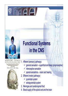 Functional Systems in The