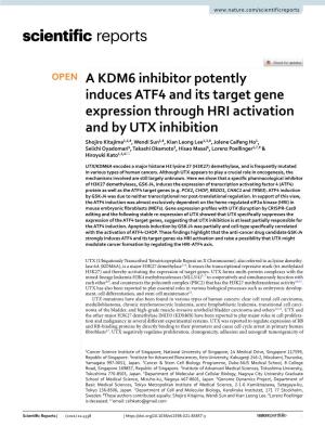 A KDM6 Inhibitor Potently Induces ATF4 and Its Target Gene Expression Through HRI Activation and by UTX Inhibition