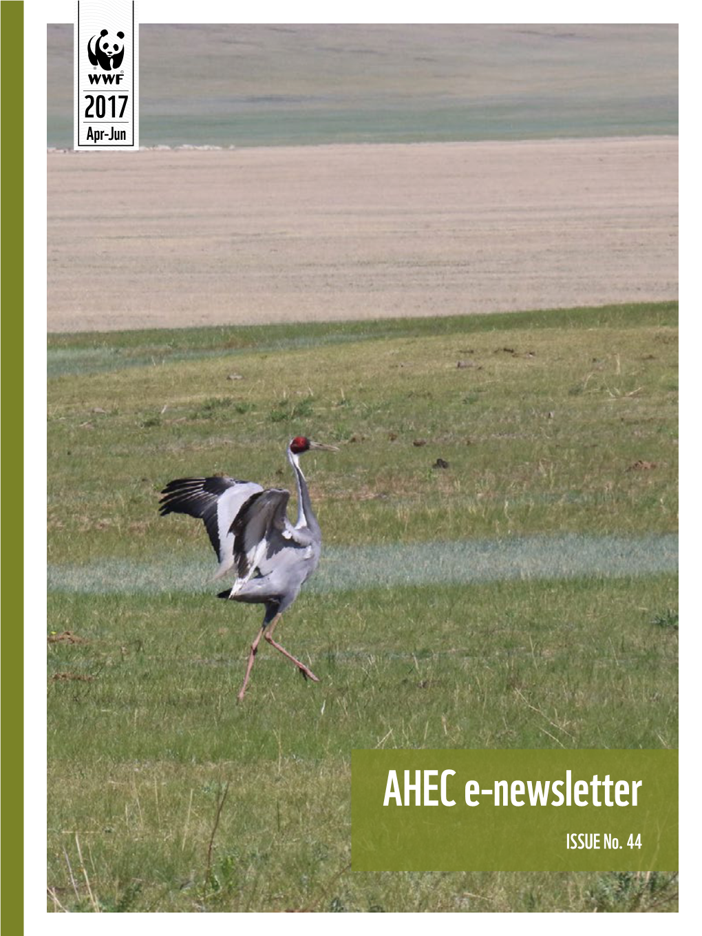AHEC E-Newsletter ISSUE No