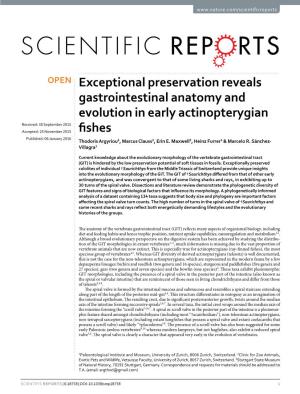 Exceptional Preservation Reveals Gastrointestinal Anatomy And