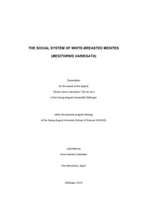 The Social System of White-Breasted Mesites
