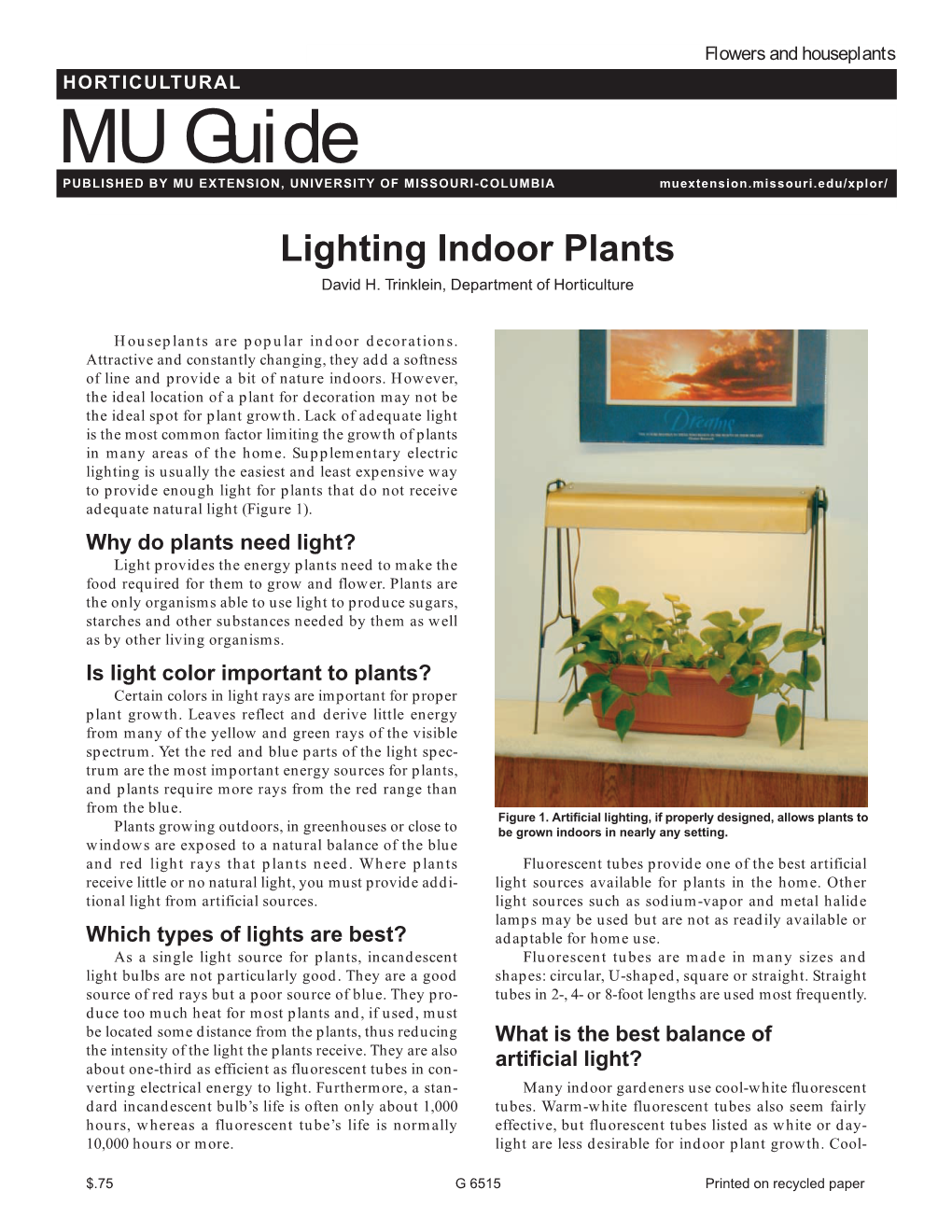 Lighting Indoor Plants David H