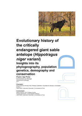 Evolutionary History of the Critically Endangered Giant Sable Antelope (Hippotragus Niger Variani)