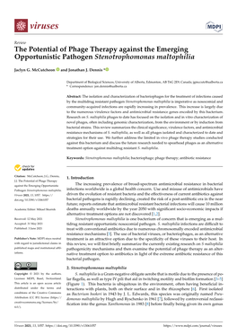 The Potential of Phage Therapy Against the Emerging Opportunistic Pathogen Stenotrophomonas Maltophilia