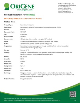 PELO (NM 015946) Human Recombinant Protein – TP303592