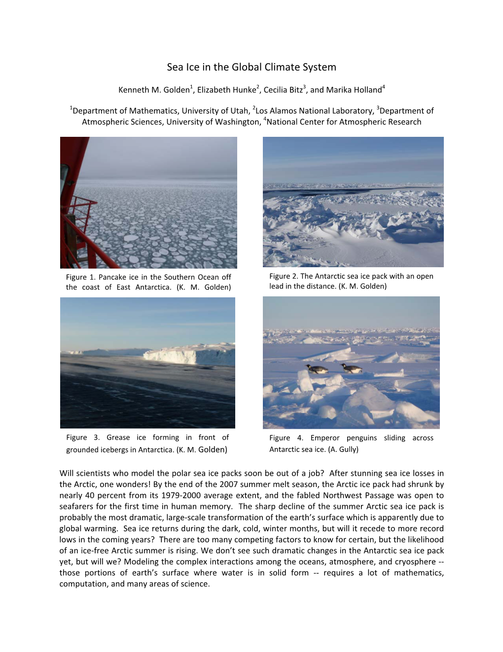 Sea Ice in the Global Climate System