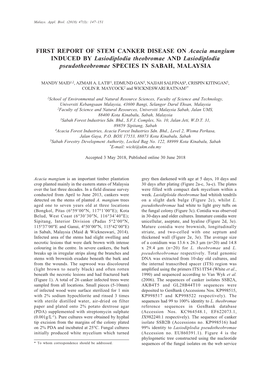 FIRST REPORT of STEM CANKER DISEASE on Acacia Mangium INDUCED by Lasiodiplodia Theobromae and Lasiodiplodia Pseudotheobromae SPECIES in SABAH, MALAYSIA
