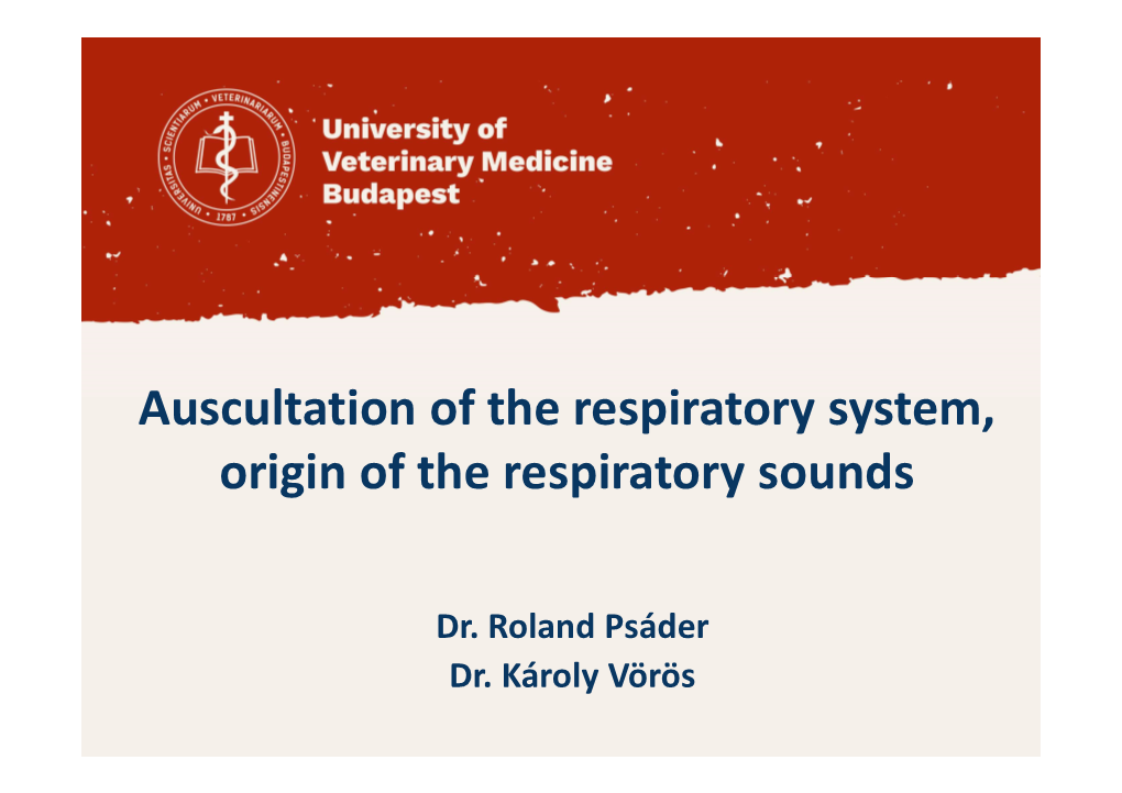 Auscultation of the Respiratory System, Origin of the Respiratory Sounds