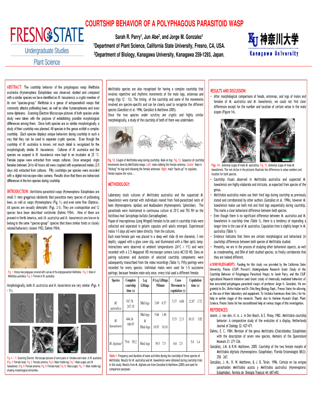 TCOURTSHIP BEHAVIOR of a POLYPHAGOUS PARASITOID WASP Sarah R