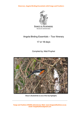 Angola Birding Essentials with Fangs and Feathers