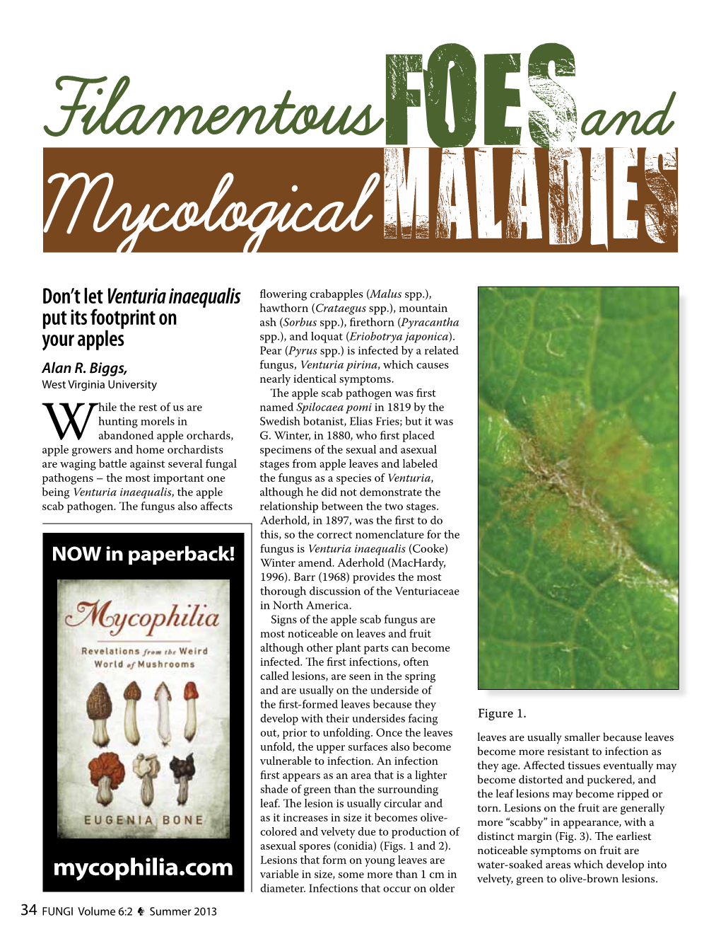 Filamentous Foes and Mycological Maladies