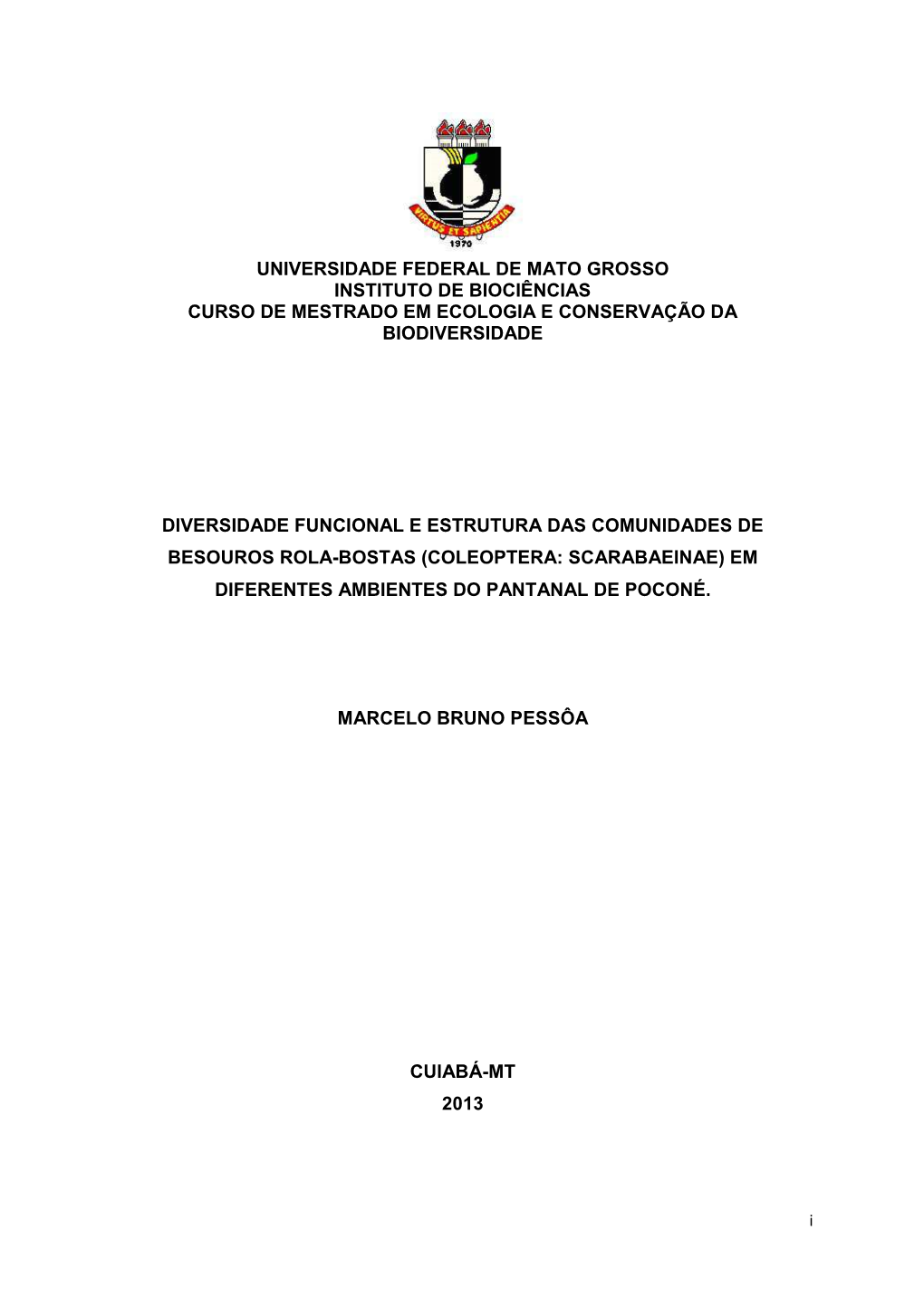 Dissertação Marcelo Bruno Pessoa 2013