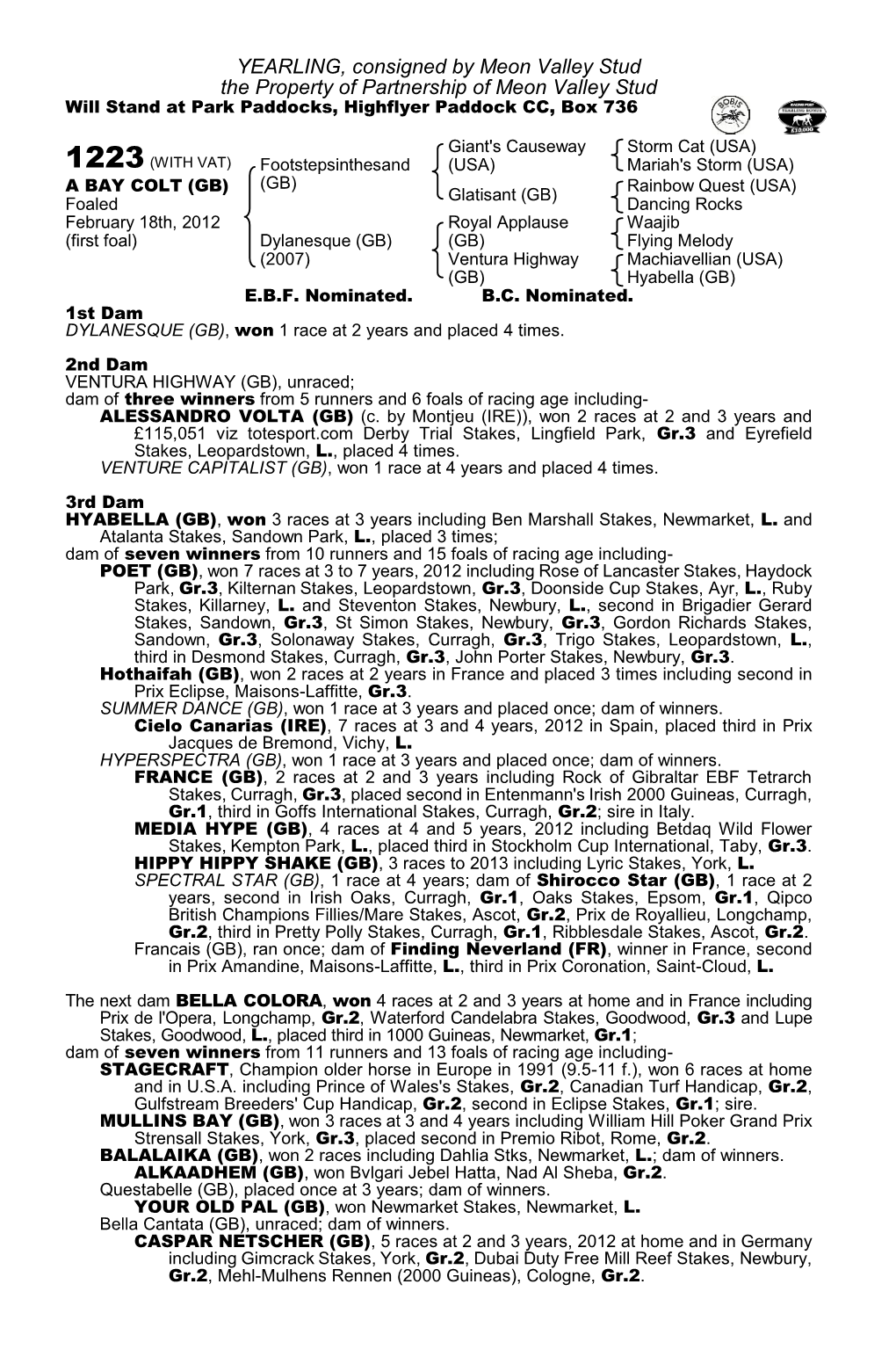 YEARLING, Consigned by Meon Valley Stud the Property of Partnership of Meon Valley Stud Will Stand at Park Paddocks, Highflyer Paddock CC, Box 736
