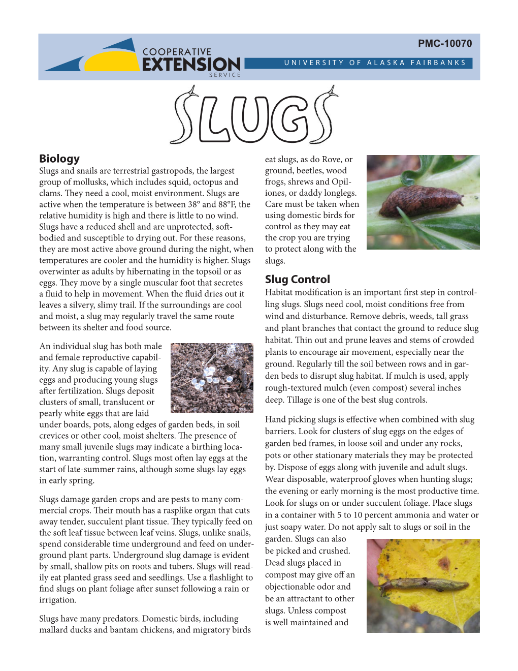 Biology Slug Control