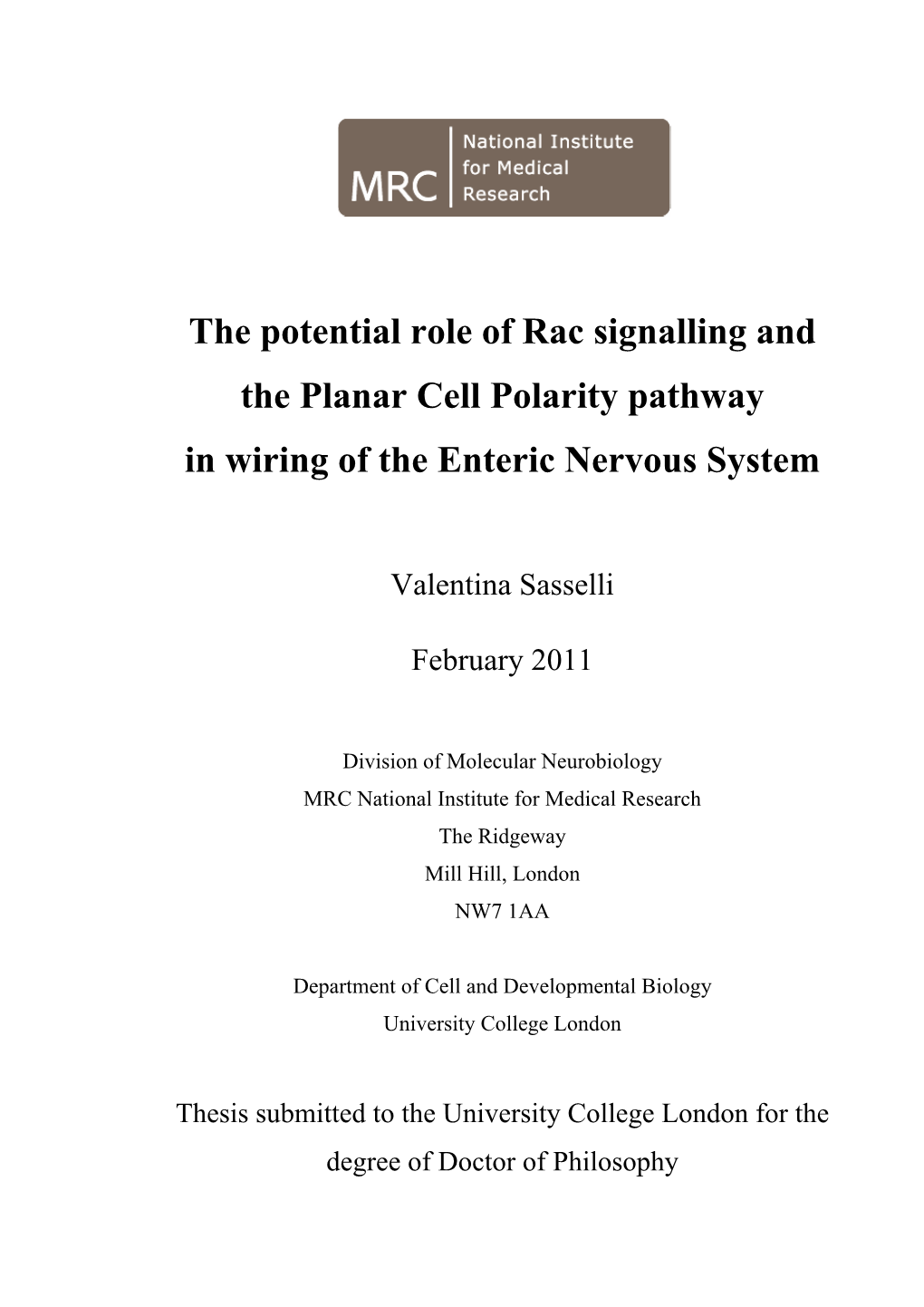 The Potential Role of Rac Signalling and the Planar Cell Polarity Pathway in Wiring of the Enteric Nervous System