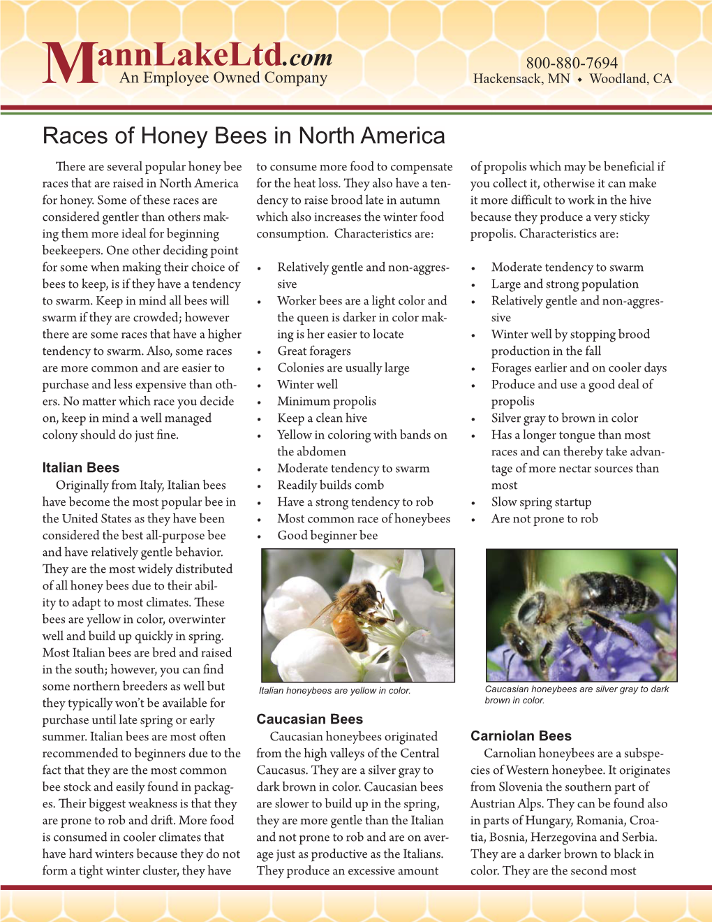 Races of Honey Bees in North America