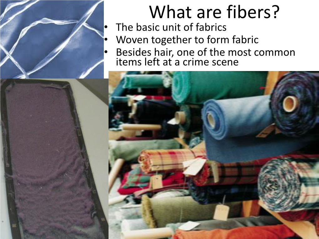 Chapter 4: a Study of Fibers and Textiles