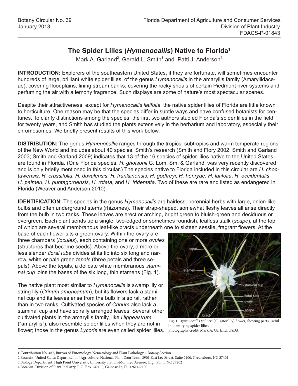 The Spider Lilies (Hymenocallis) Native to Florida1 Mark A