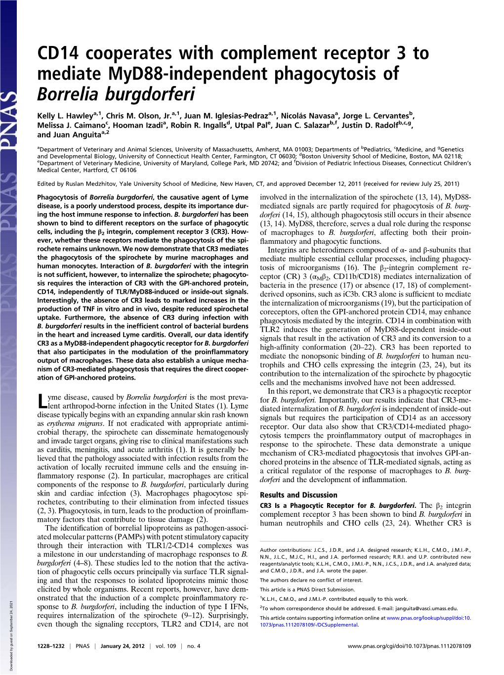 CD14 Cooperates with Complement Receptor 3 to Mediate Myd88-Independent Phagocytosis of Borrelia Burgdorferi