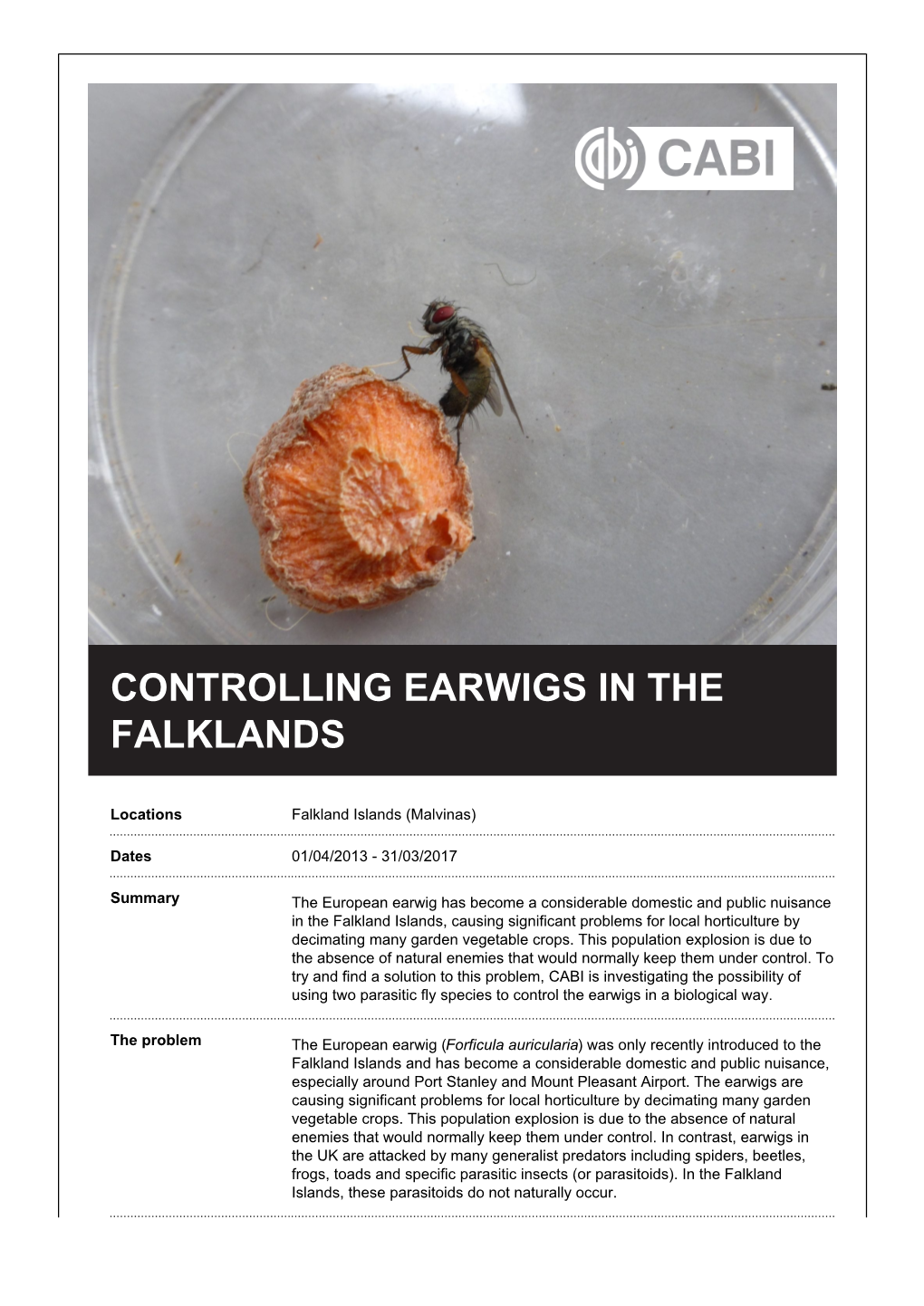 Controlling Earwigs in the Falklands