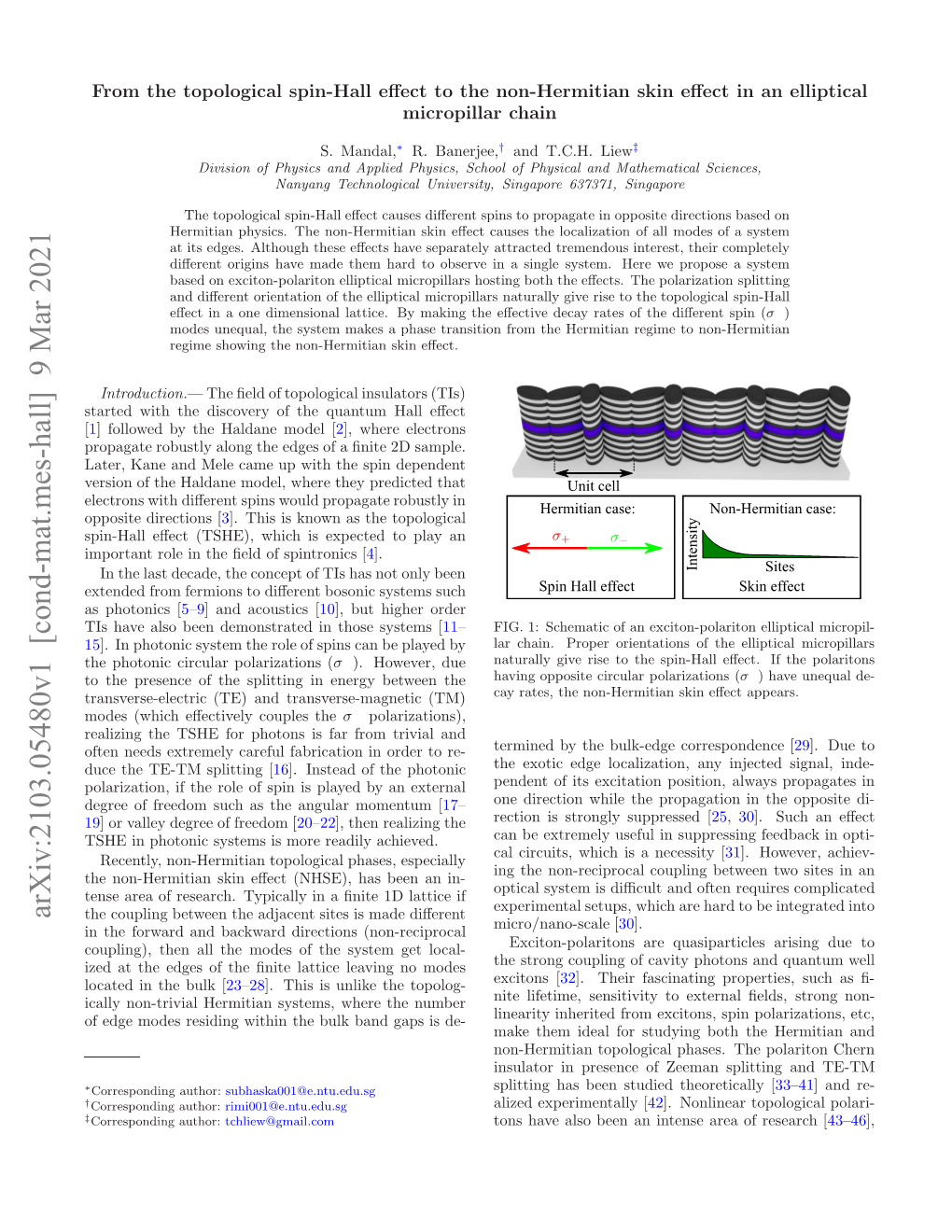 From the Topological Spin-Hall Effect to the Non-Hermitian Skin Effect in An