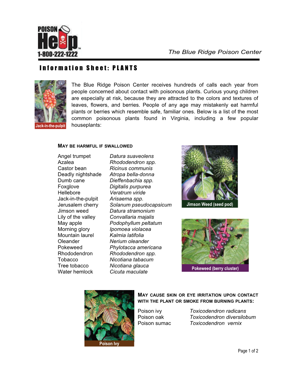 Information Sheet: PLANTS