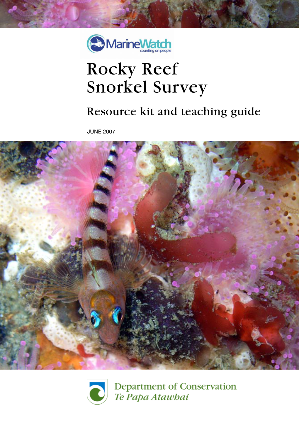 Marinewatch Rocky Reef Snorkel Survey