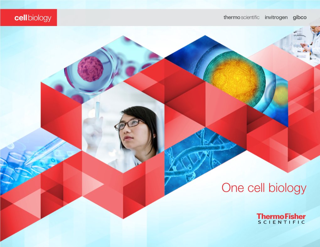 Our Cell Biology Portfolio at a Glance