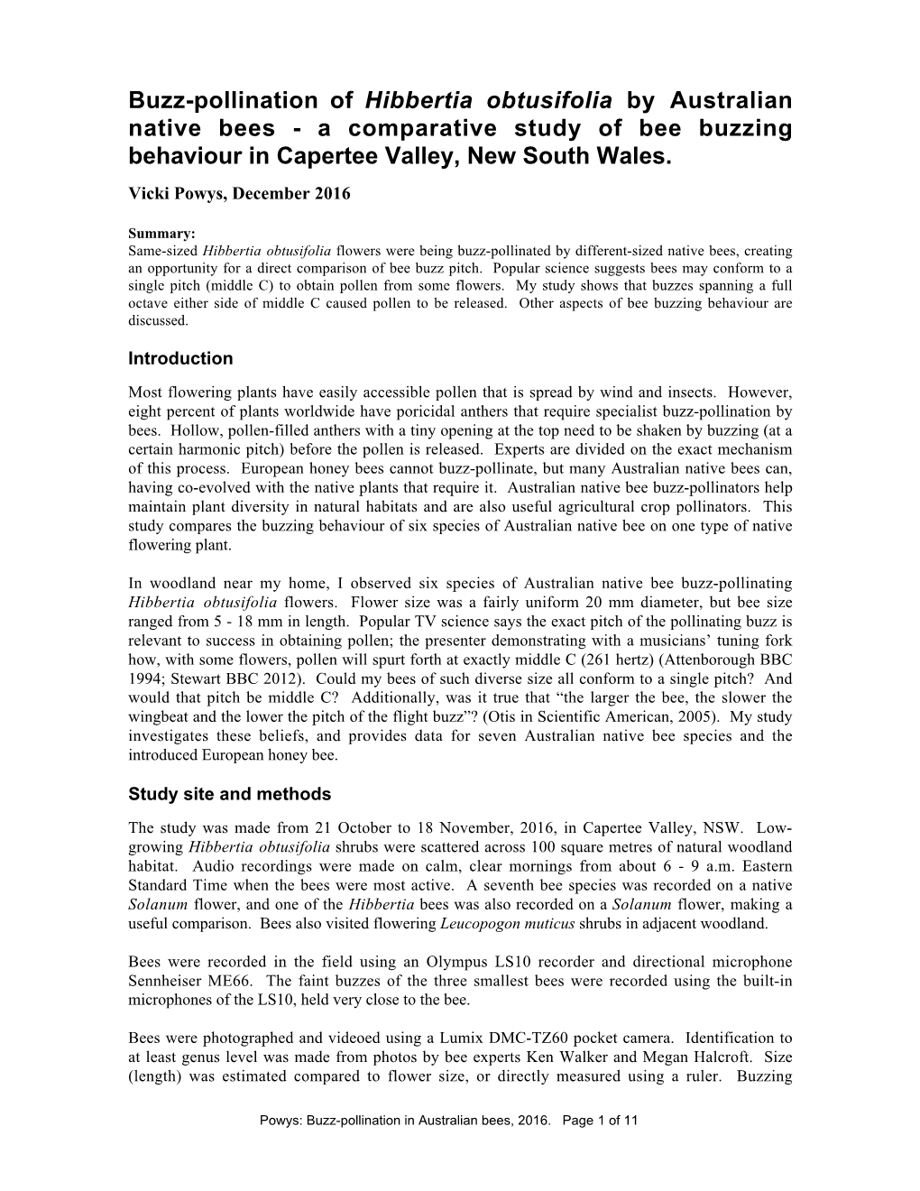 Buzz-Pollination of Hibbertia Obtusifolia by Australian Native Bees - a Comparative Study of Bee Buzzing Behaviour in Capertee Valley, New South Wales