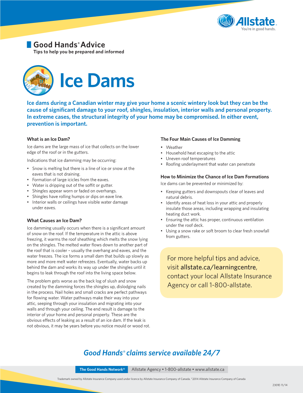 Ice Dams Tipsheet