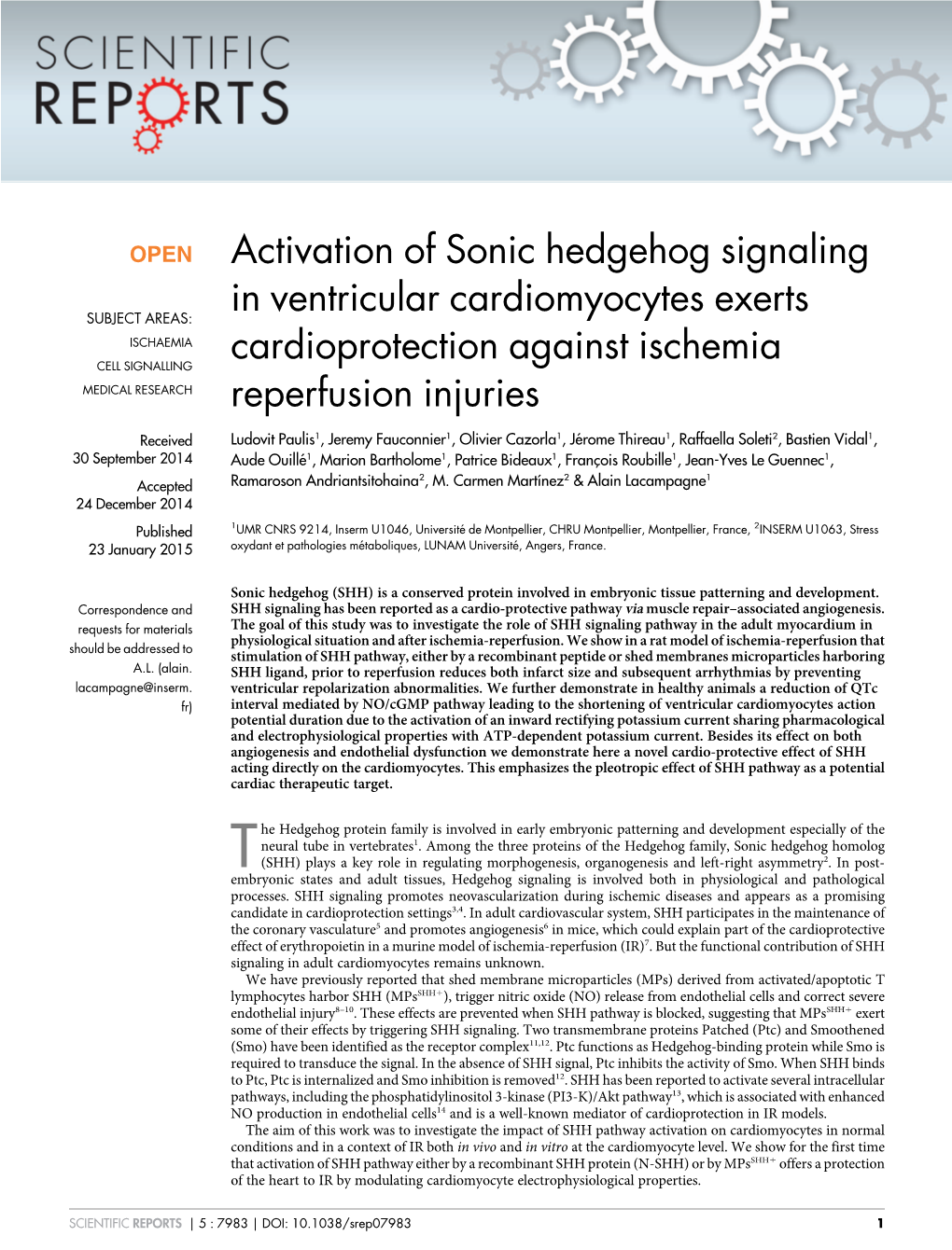 Activation of Sonic Hedgehog Signaling in Ventricular 42