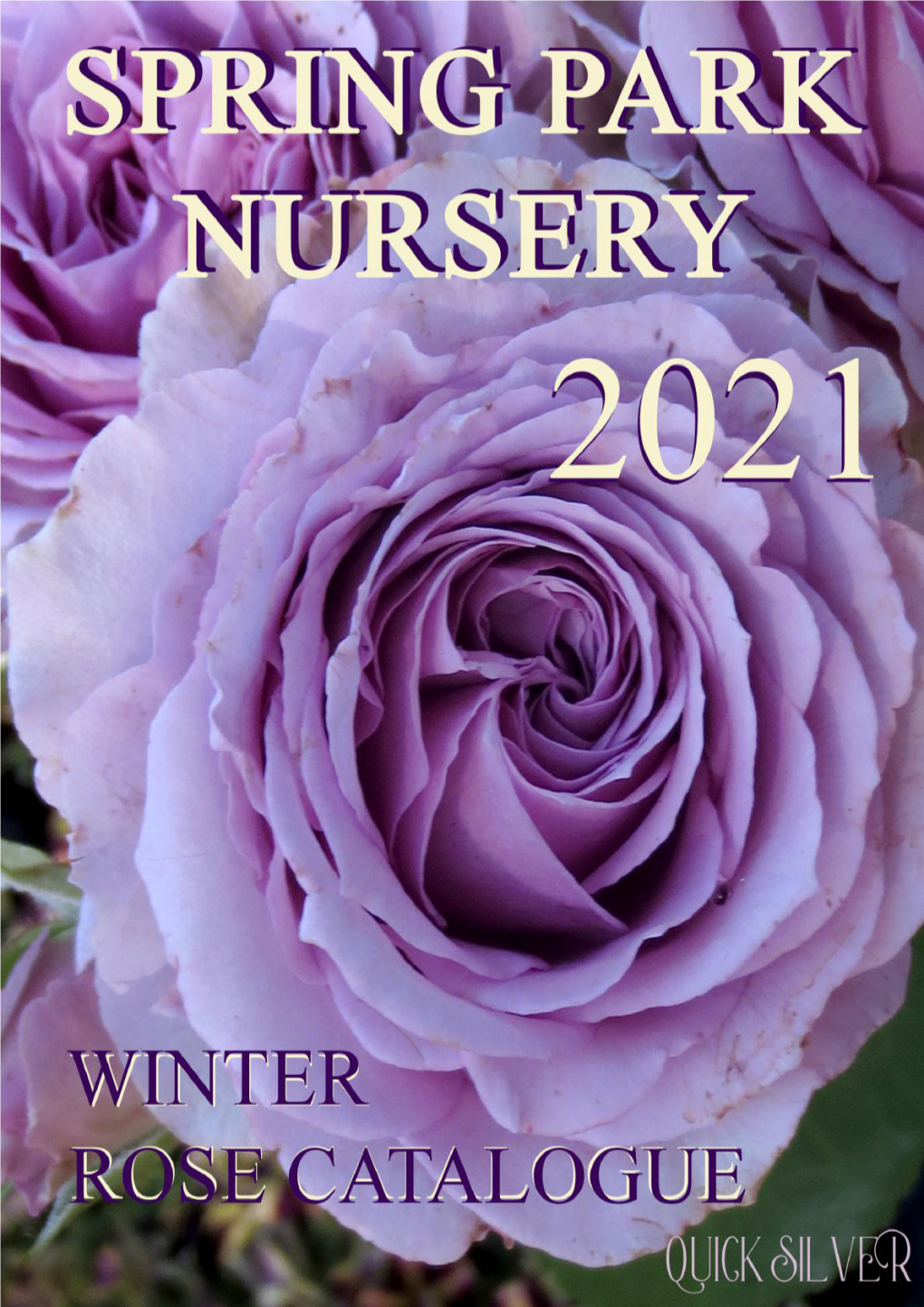 ORDERING YOUR ROSES for WINTER PLACING an ORDER by PHONE: You Can Place Your Orders During Business Hours on (03) 5348 3351