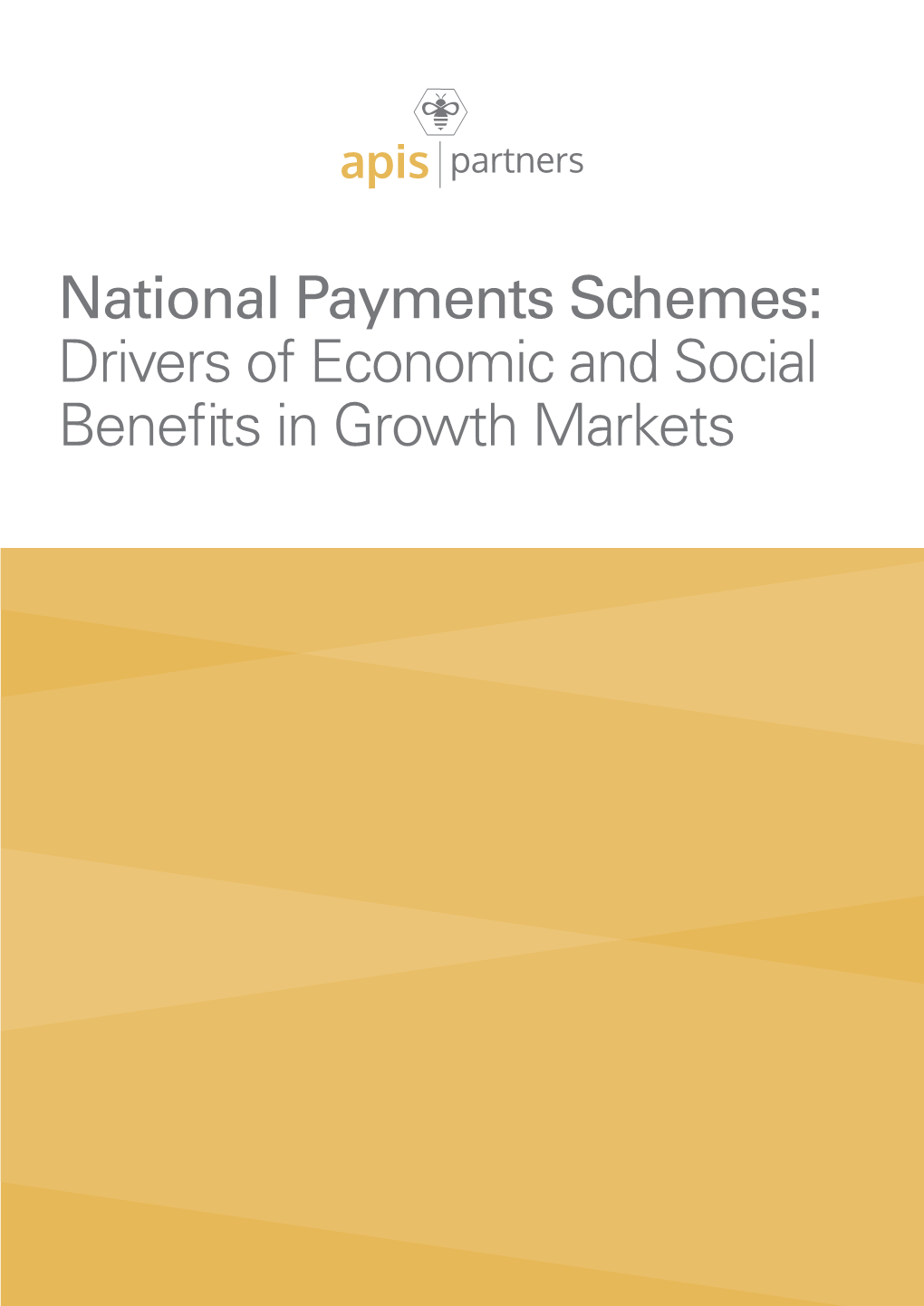 National Payments Schemes: Drivers of Economic and Social Benefits in Growth Markets Contents