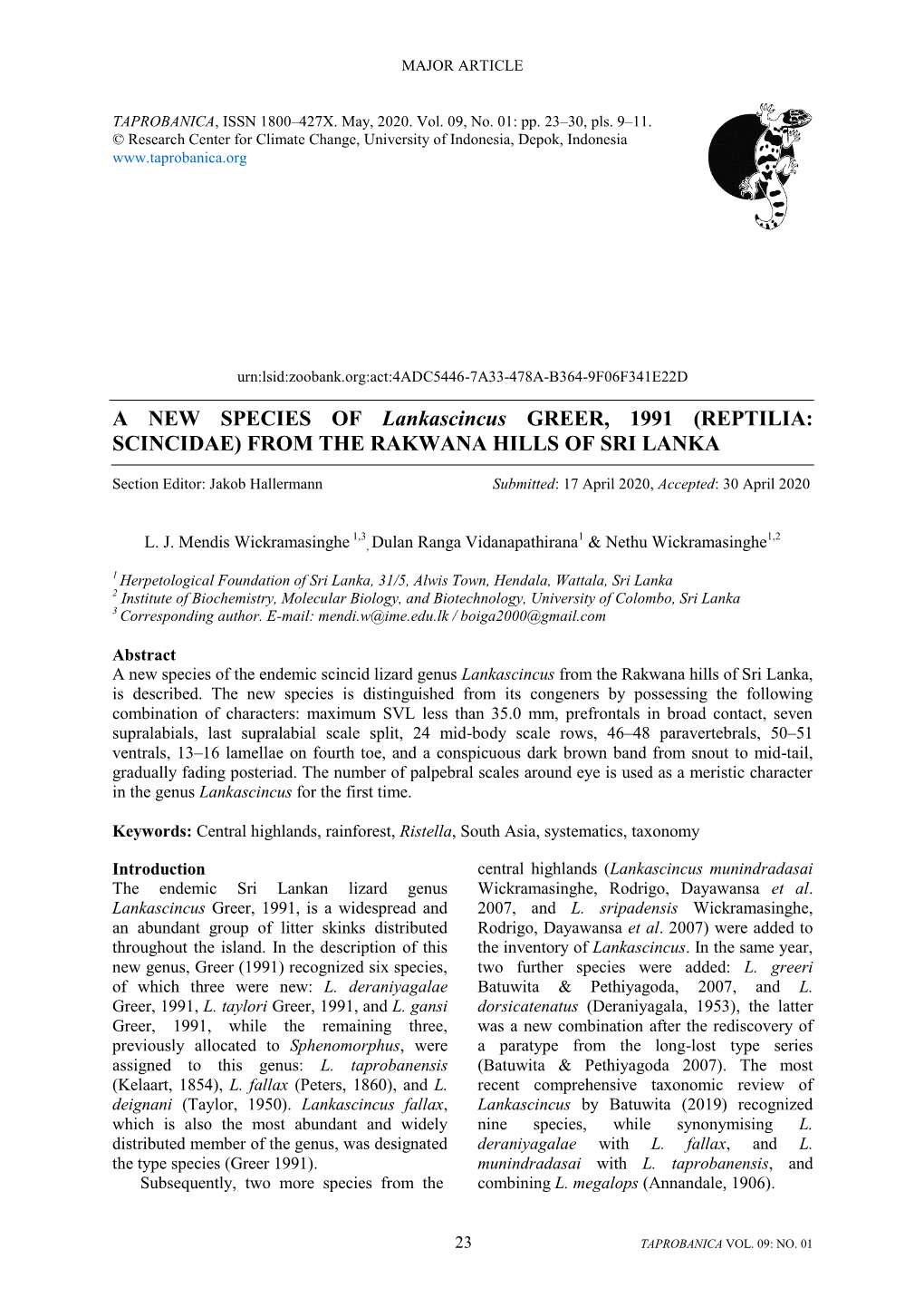 A NEW SPECIES of Lankascincus GREER, 1991 (REPTILIA: SCINCIDAE) from the RAKWANA HILLS of SRI LANKA