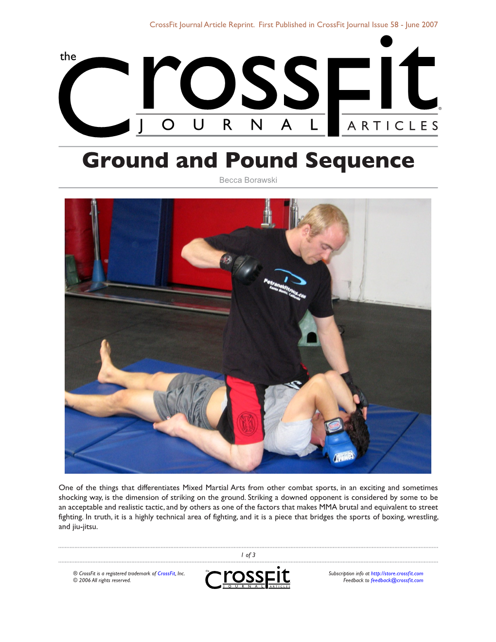 Ground and Pound Sequence Becca Borawski