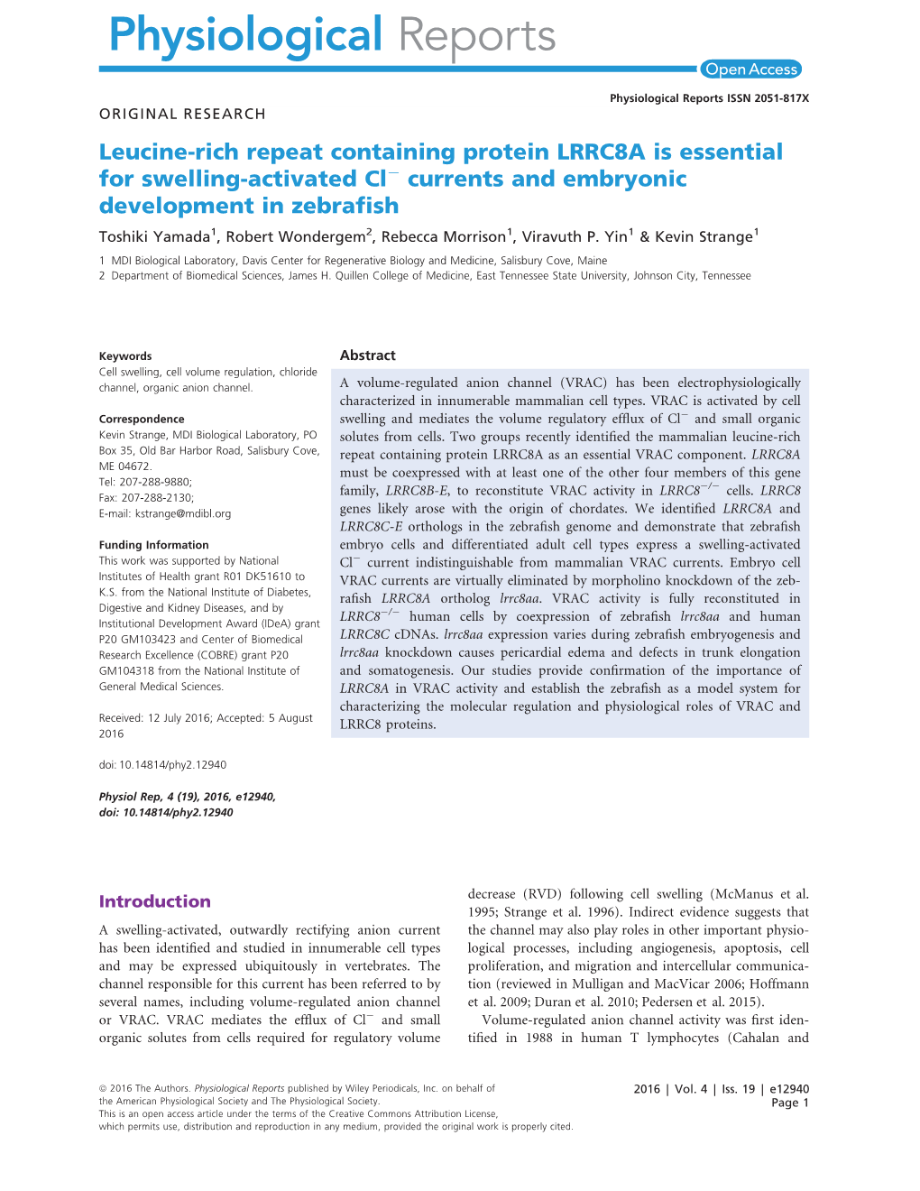 Leucine‐Rich Repeat Containing Protein LRRC8A Is Essential for Swelling‐Activated Cl− Currents and Embryonic Development I