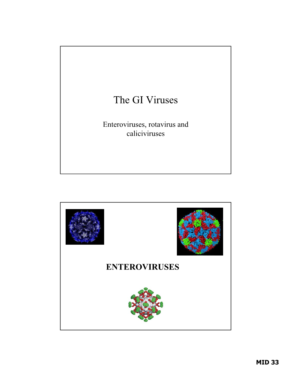 The GI Viruses